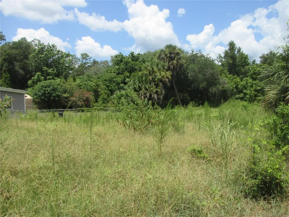 TBD SE 19TH STREET Silver Springs, FL 34488