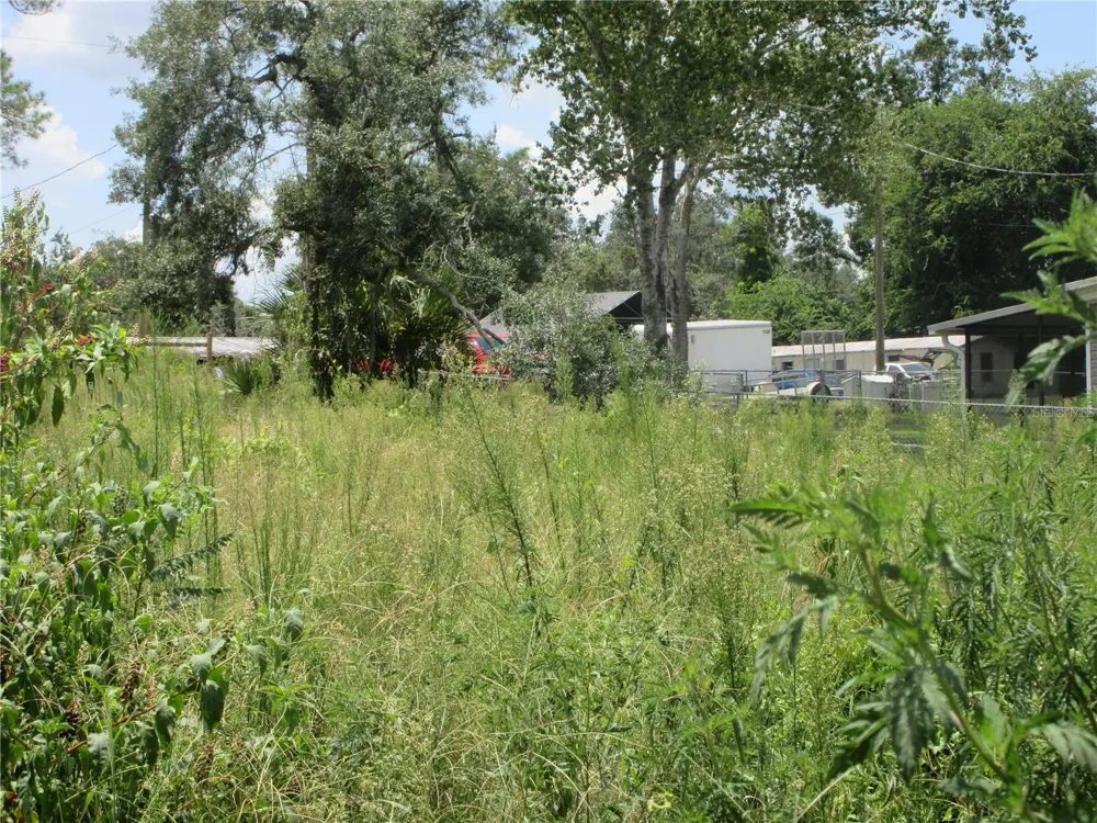 TBD SE 19TH STREET Silver Springs, FL 34488