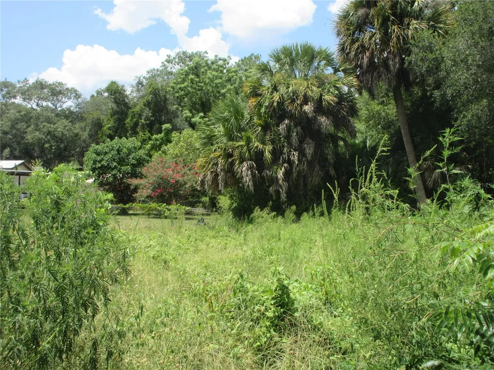 TBD SE 19TH STREET Silver Springs, FL 34488