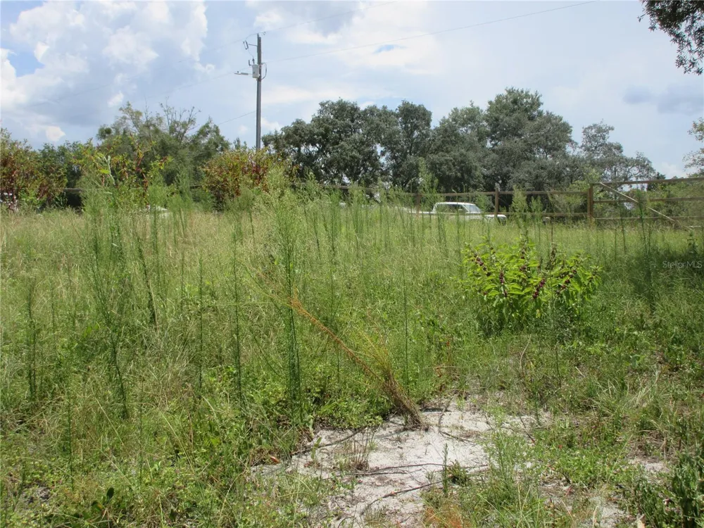 TBD SE 19TH STREET Silver Springs, FL 34488