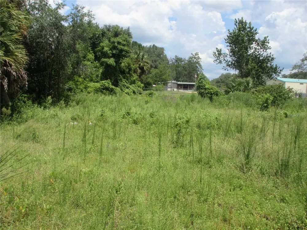 TBD SE 19TH STREET Silver Springs, FL 34488