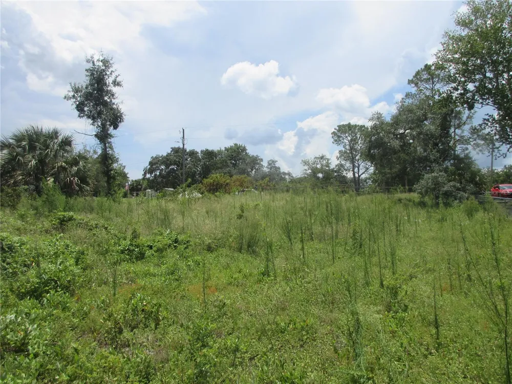 TBD SE 19TH STREET Silver Springs, FL 34488
