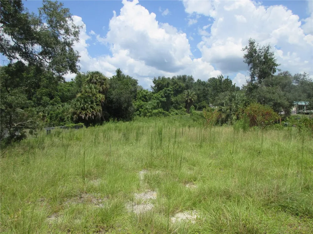 TBD SE 19TH STREET Silver Springs, FL 34488