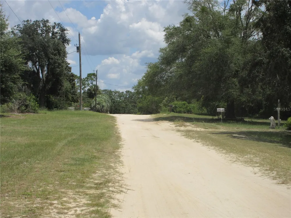 TBD SE 19TH STREET Silver Springs, FL 34488