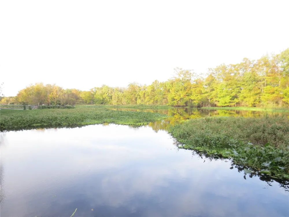 TBD SE 19TH STREET Silver Springs, FL 34488