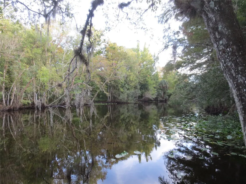 TBD SE 19TH STREET Silver Springs, FL 34488