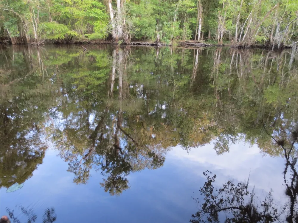 TBD SE 19TH STREET Silver Springs, FL 34488