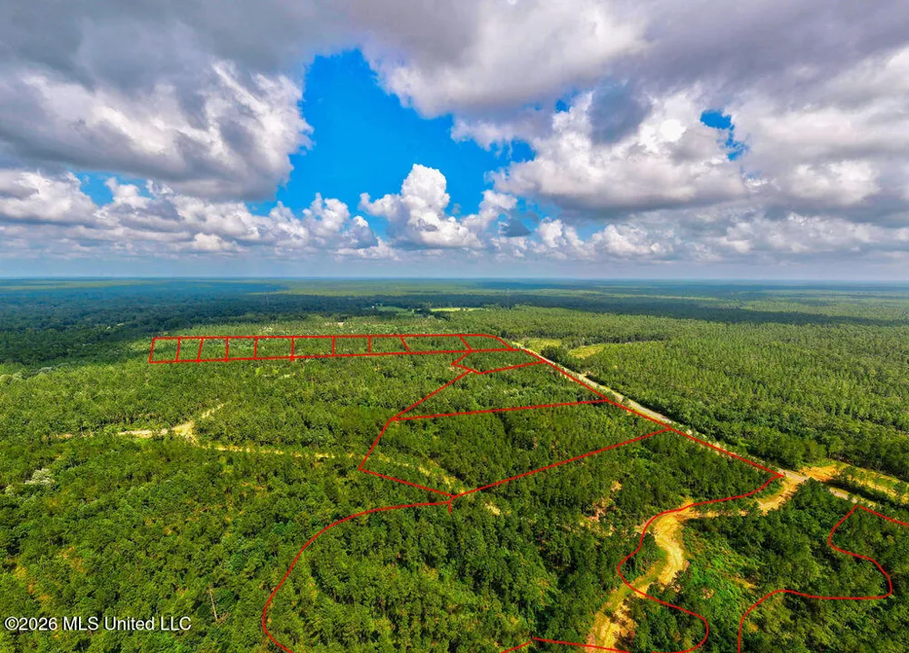 Nhn Lot 6 Ramsey Road Saucier, MS 39574