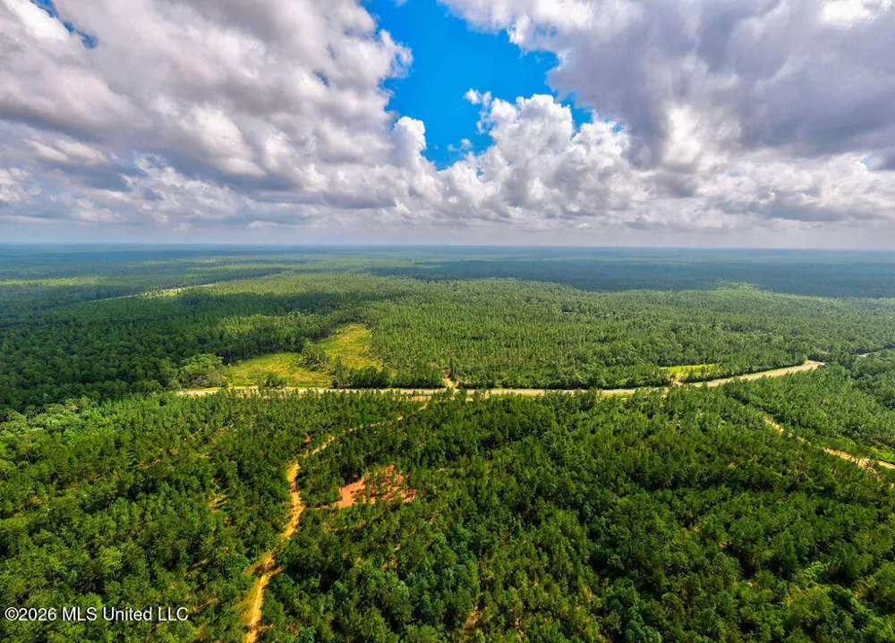 Nhn Lot 6 Ramsey Road Saucier, MS 39574