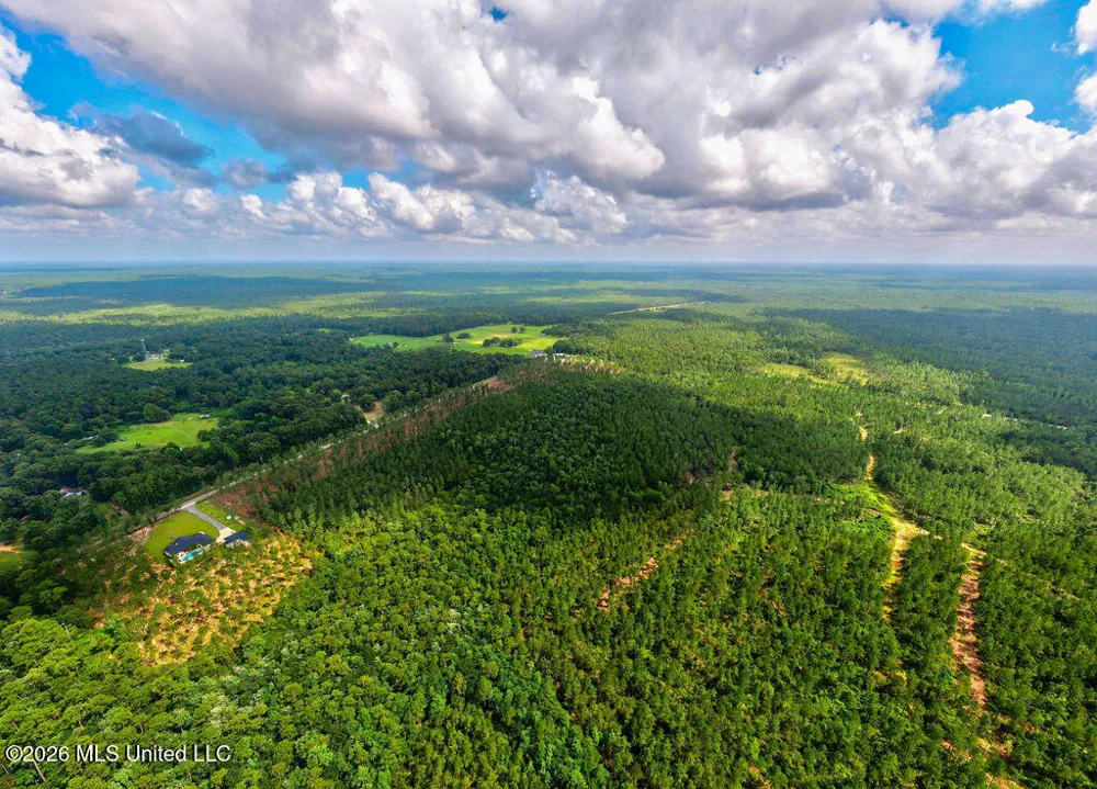 Nhn Lot 6 Ramsey Road Saucier, MS 39574
