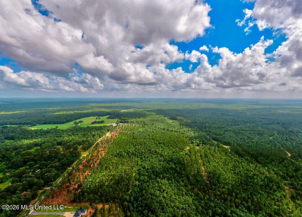 Nhn Lot 6 Ramsey Road Saucier, MS 39574
