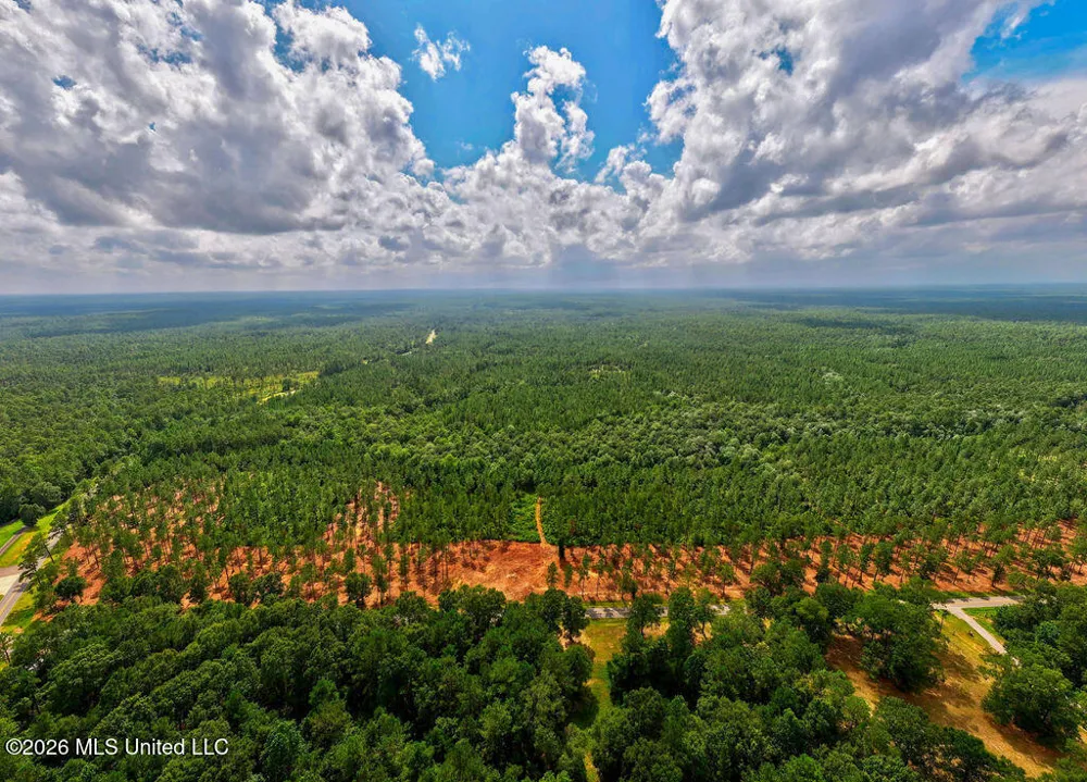 Nhn Lot 6 Ramsey Road Saucier, MS 39574