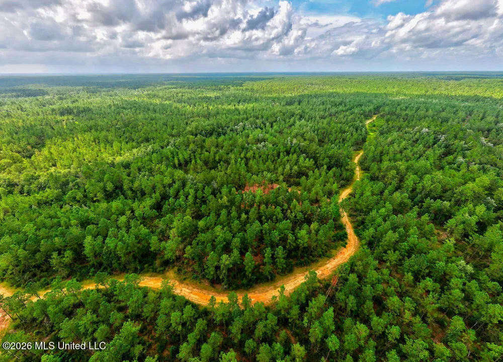 Nhn Lot 6 Ramsey Road Saucier, MS 39574
