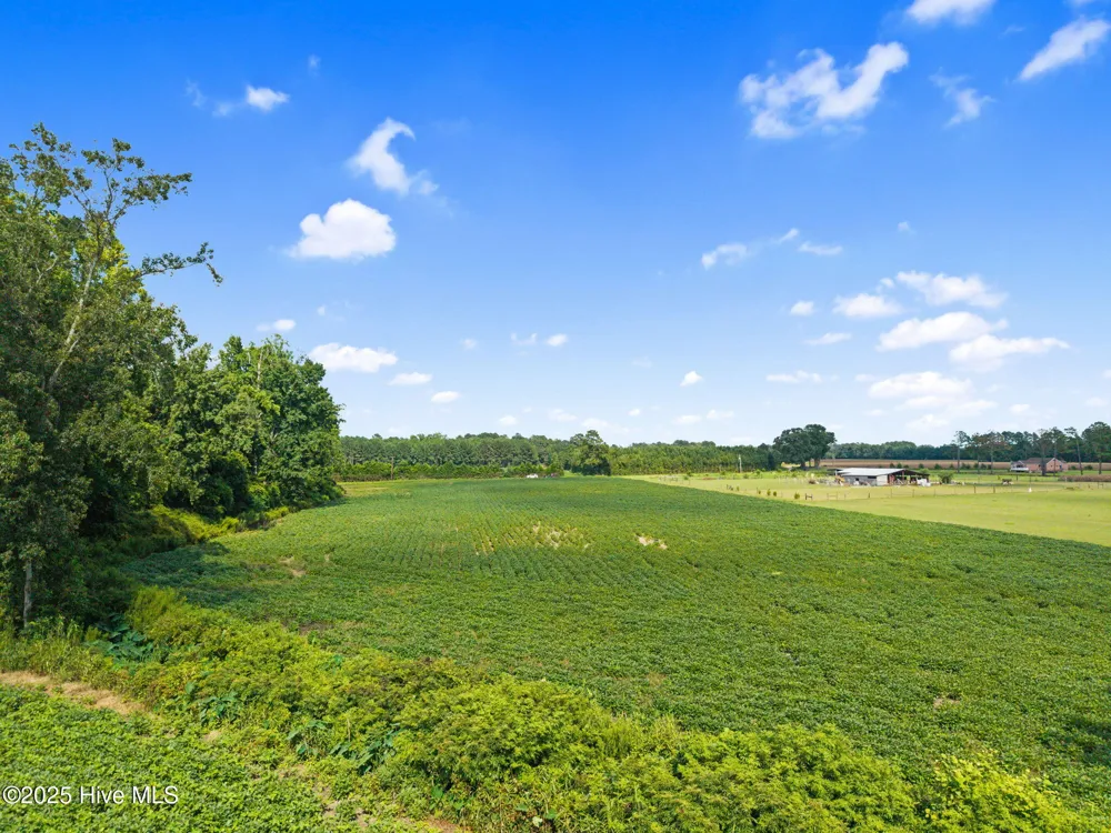 0 Doodle Hill Road Cerro Gordo, NC 28430