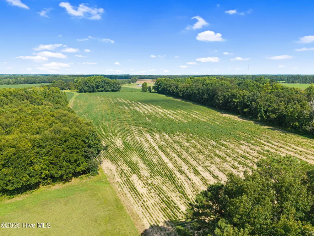 0 Doodle Hill Road Cerro Gordo, NC 28430