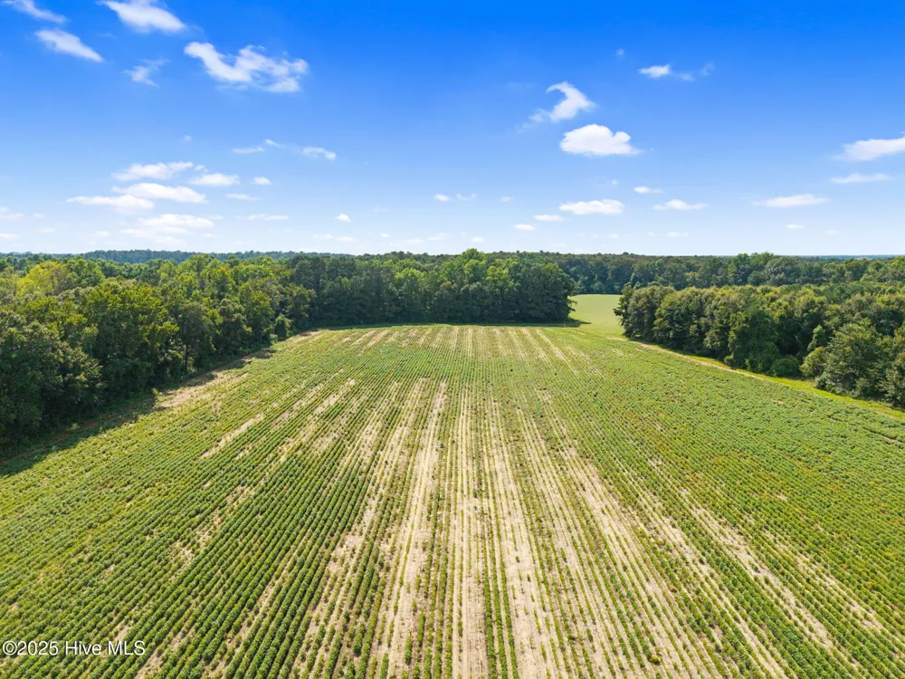 0 Doodle Hill Road Cerro Gordo, NC 28430