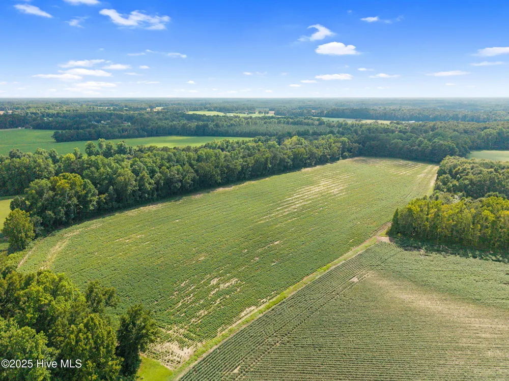 0 Doodle Hill Road Cerro Gordo, NC 28430