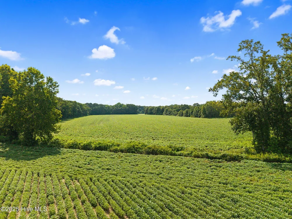 0 Doodle Hill Road Cerro Gordo, NC 28430