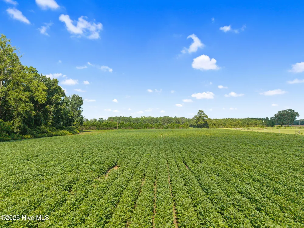 0 Doodle Hill Road Cerro Gordo, NC 28430