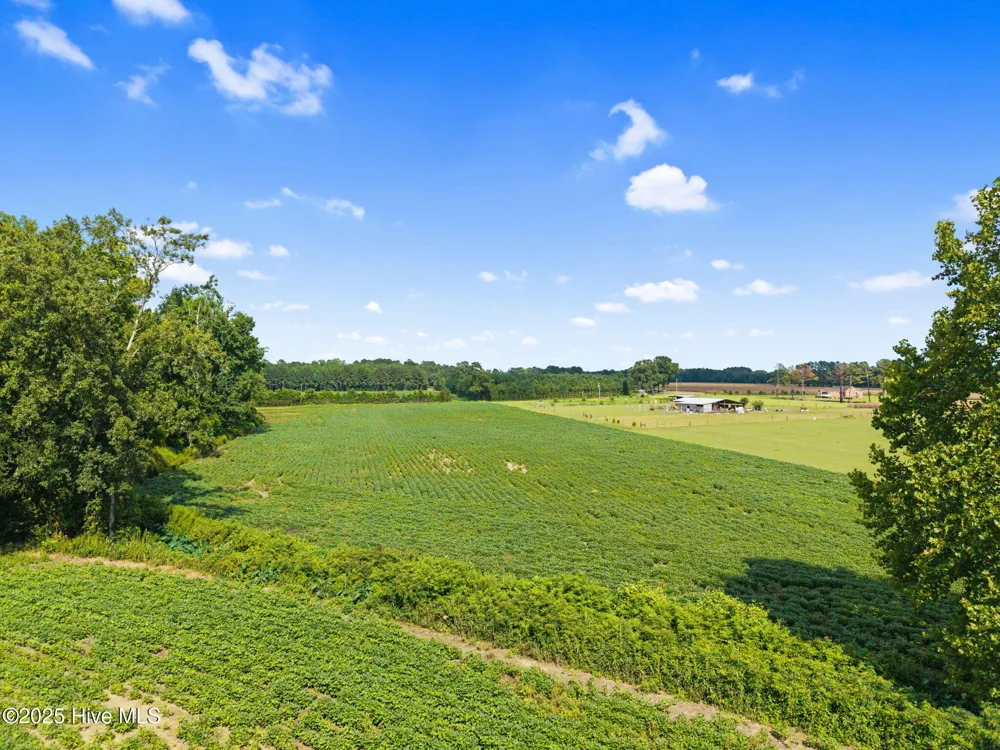 0 Doodle Hill Road Cerro Gordo, NC 28430