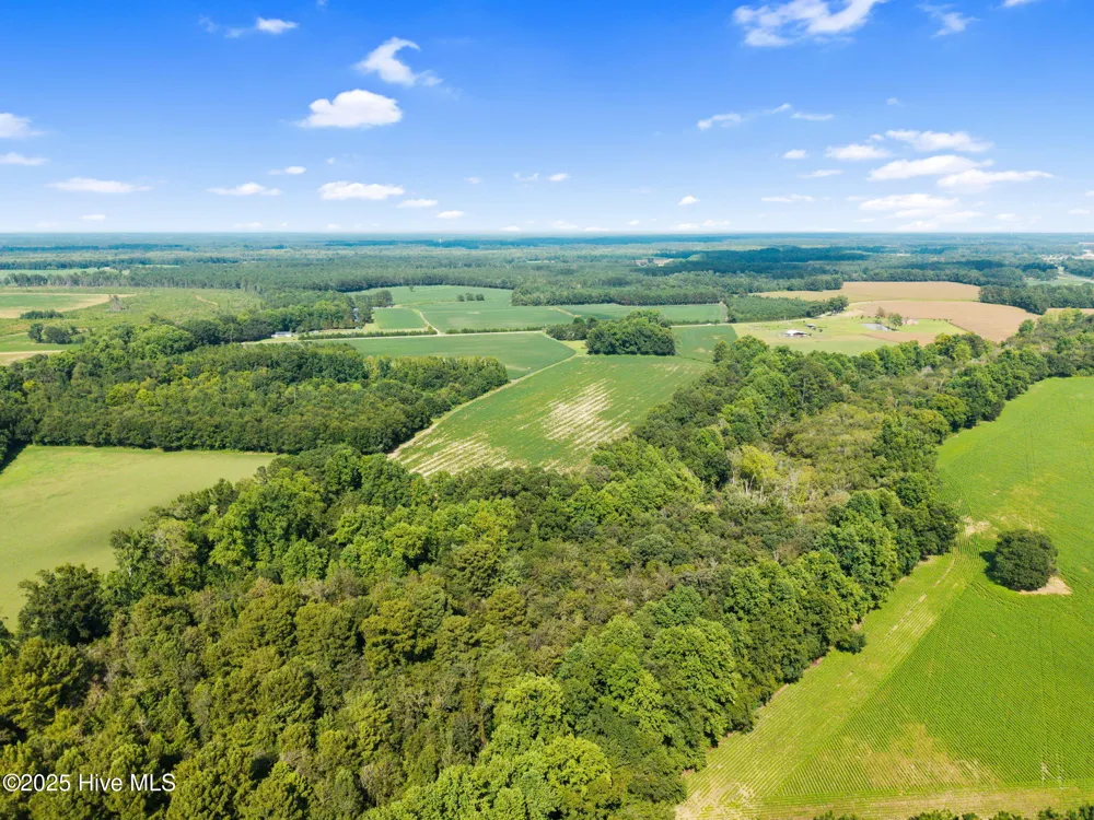 0 Doodle Hill Road Cerro Gordo, NC 28430