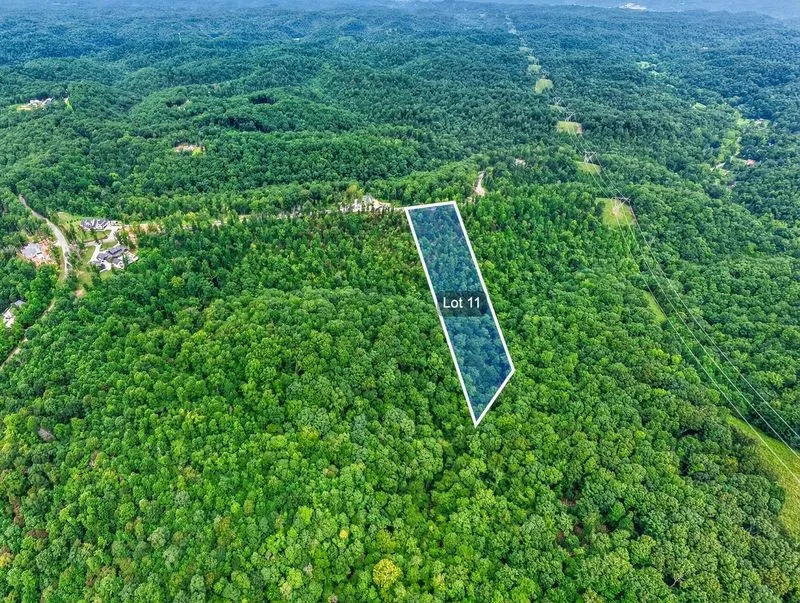0 Falling Timber Drive Pegram, TN 37143
