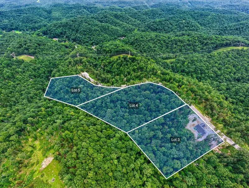 0 Falling TImber Drive Pegram, TN 37143