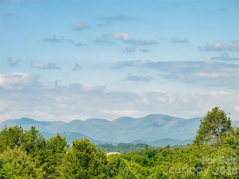 596 Country Oak Drive Asheville, NC 28804