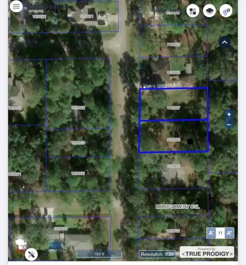 Longleaf Drive