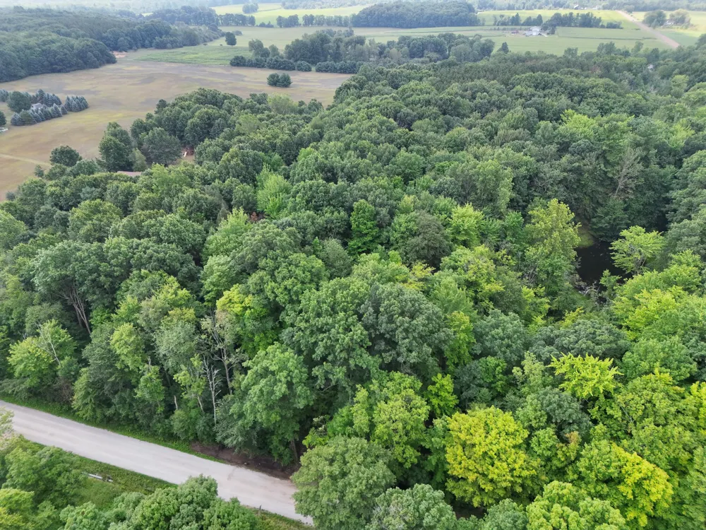 5686 19 Mile Road NE Cedar Springs, MI 49319