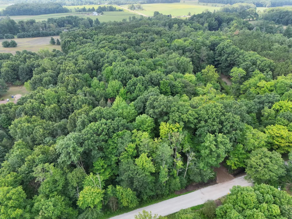 5686 19 Mile Road NE Cedar Springs, MI 49319