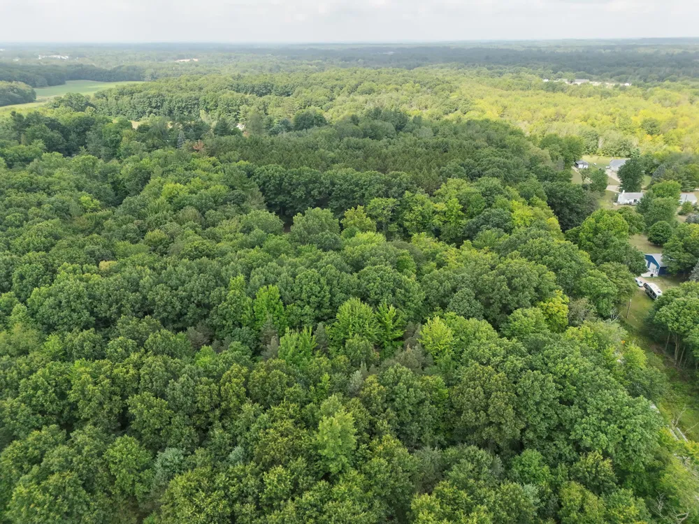 5686 19 Mile Road NE Cedar Springs, MI 49319