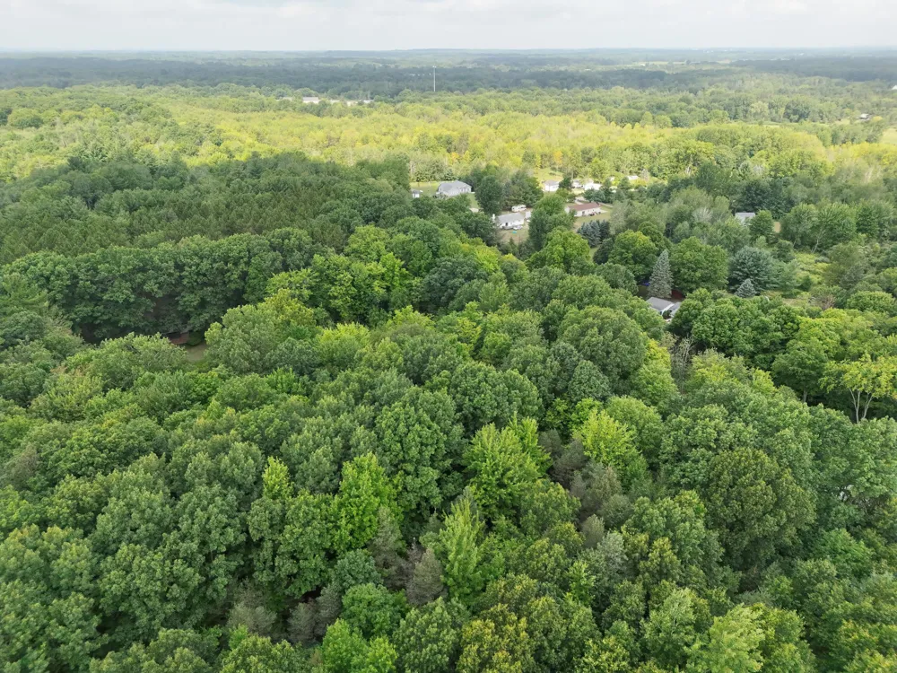 5686 19 Mile Road NE Cedar Springs, MI 49319
