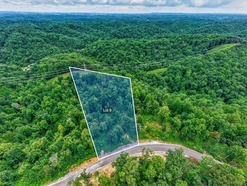 0 Falling Timber Drive Pegram, TN 37143