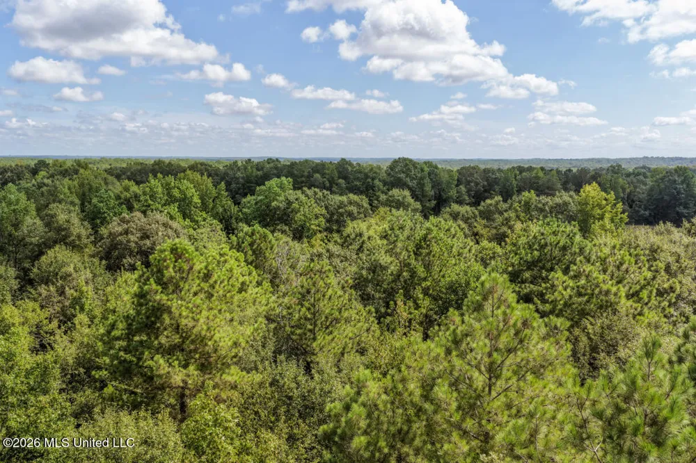 Craft Road Magee, MS 39111