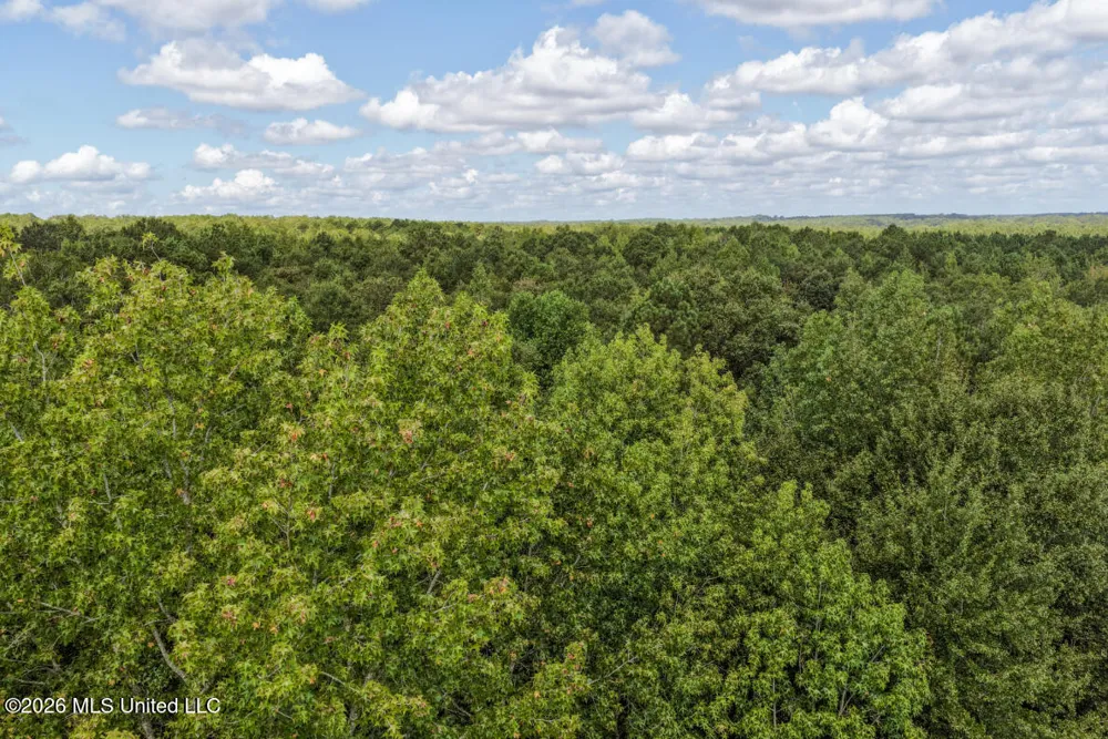Craft Road Magee, MS 39111