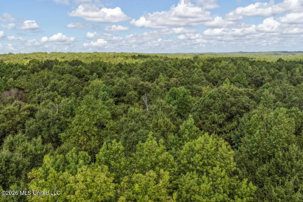 Craft Road Magee, MS 39111