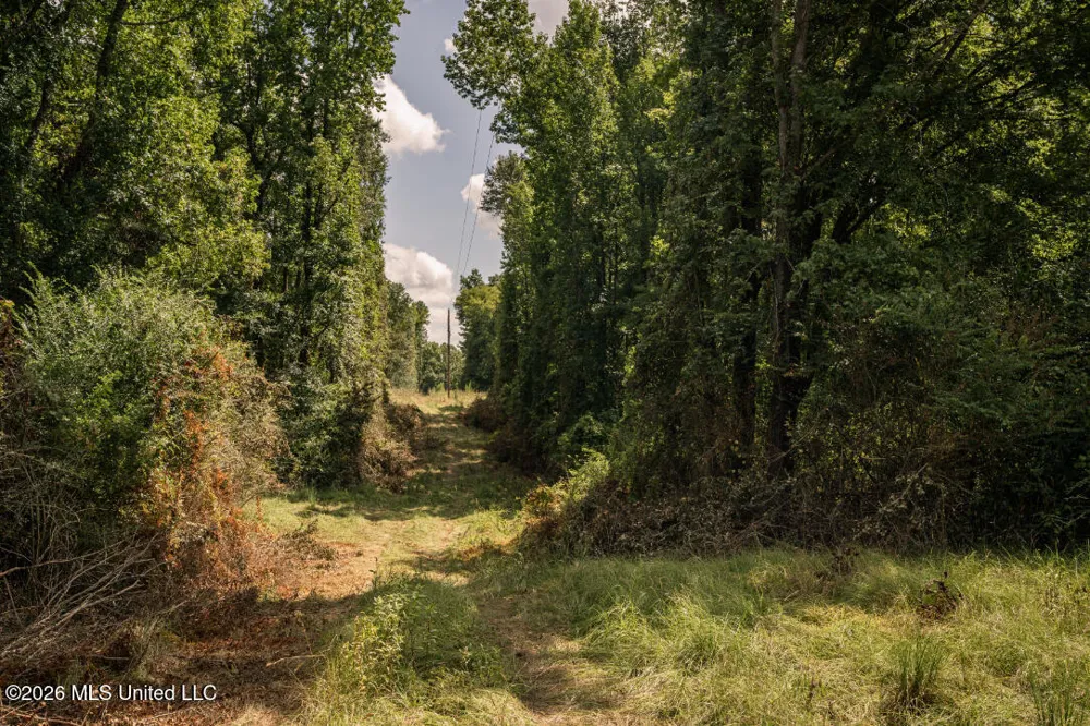 Craft Road Magee, MS 39111