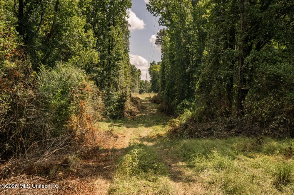 Craft Road Magee, MS 39111