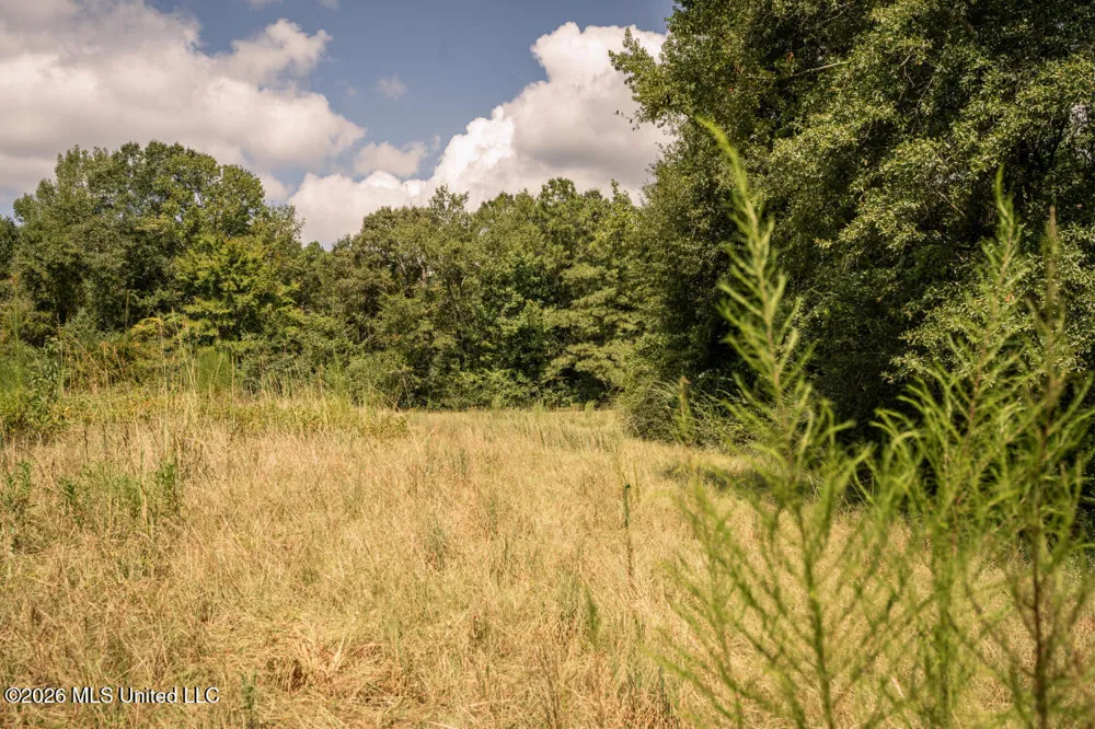 Craft Road Magee, MS 39111