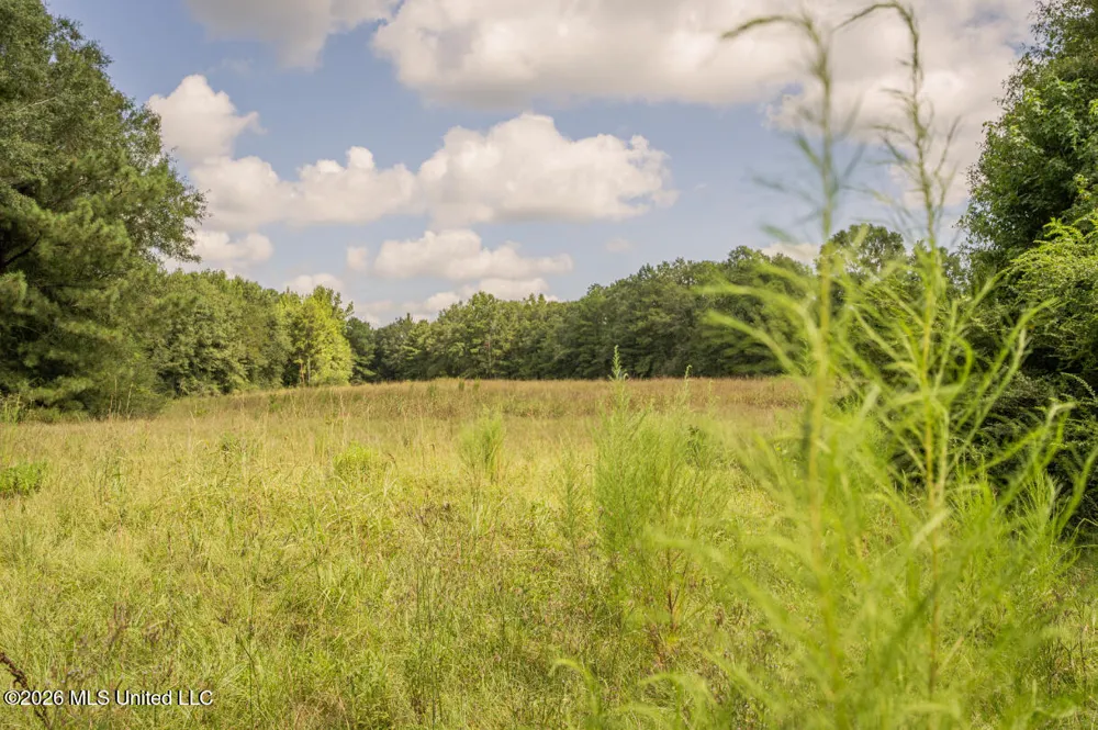 Craft Road Magee, MS 39111