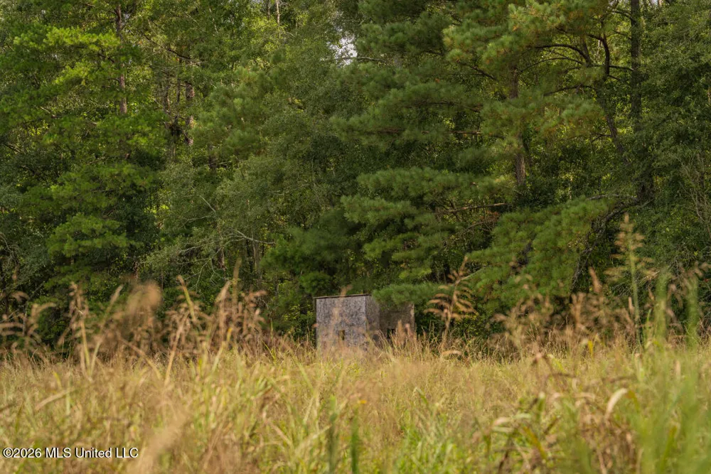 Craft Road Magee, MS 39111