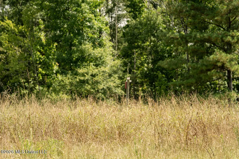 Craft Road Magee, MS 39111