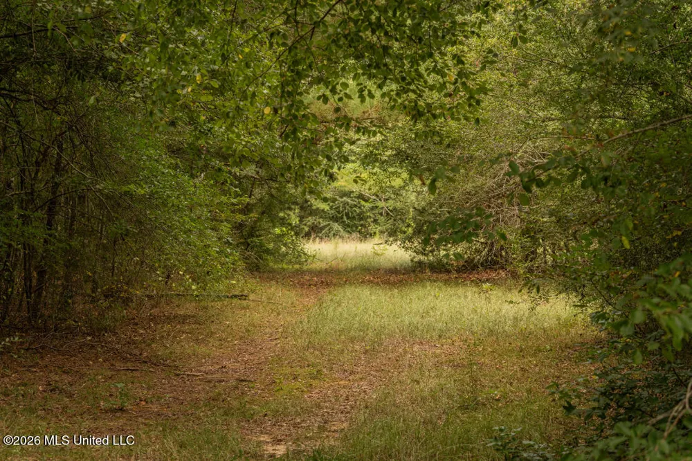 Craft Road Magee, MS 39111