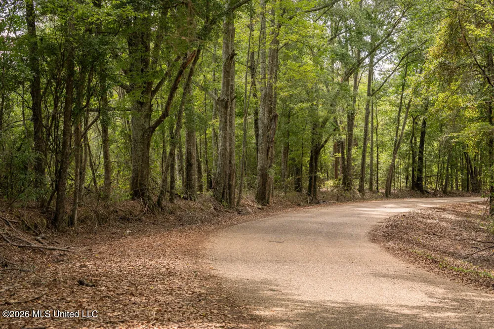 Craft Road Magee, MS 39111
