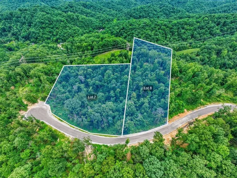 0 Falling Timber Drive Pegram, TN 37143