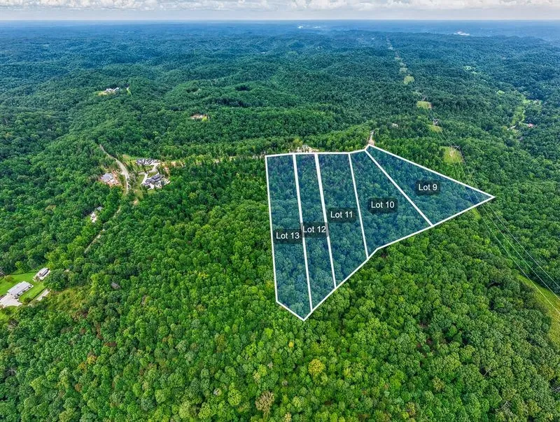 0 Falling Timber Drive Pegram, TN 37143