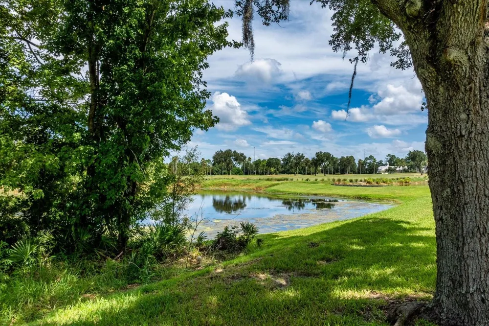 915 JASMINE STREET Celebration, FL 34747
