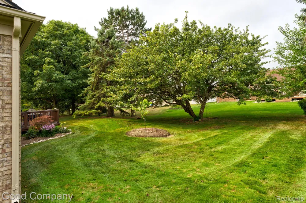 16163 Homestead Circle Northville Township, MI 48168