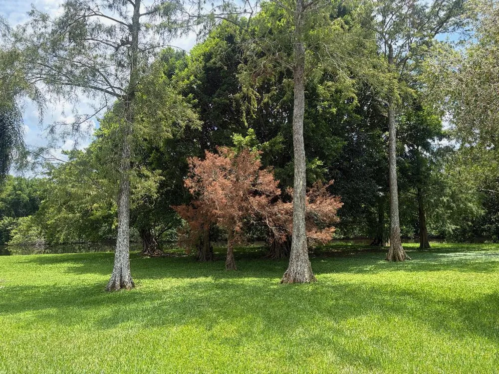 1551 S CLUB DRIVE Wellington, FL 33414